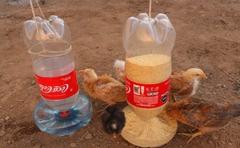 HOW TO MAKE FEEDERS AND DRINKERS FOR CHICKENS CHICKENS AND HENS with recycled plastic bottles.