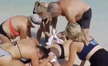 Woman’s hands are bitten off by shark after she 'tried to take a photo of animal'