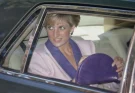 Firefighter on scene of crash revealed Princess Diana’s tragic final words