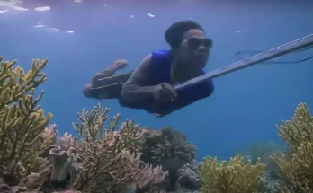 How remote tribe can swim underwater for five hours a day as incredible footage shows their ability