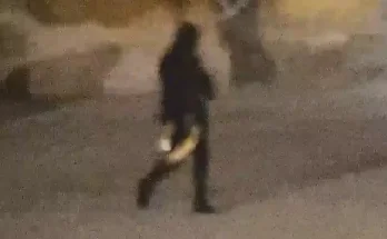 Shocking footage shows moment thieves run off with £4.75 million gold toilet stolen from Blenheim Palace