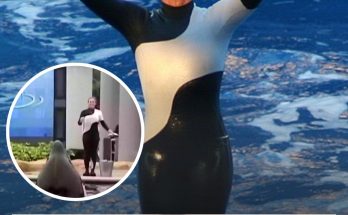 Haunting video shows final moment before orca found with dead SeaWorld trainer in its mouth