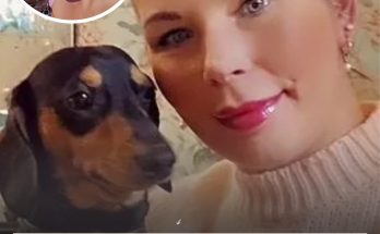 First photo of mom who took her own life before partially being eaten by pet sausage dog