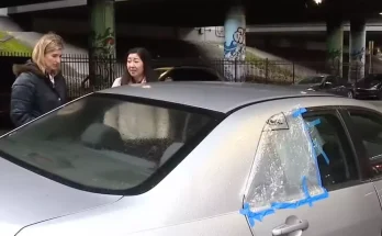 Woman finds stranger asleep in the back of her car and his reaction when she demanded he get out leaves her speechless