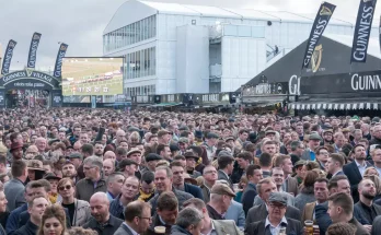 Shocking Cheltenham bar prices for 2025 revealed as punters set to drink 250,000 pints of Guinness