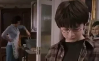 Harry Potter fans are just realising what Aunt Petunia is doing in kitchen scene